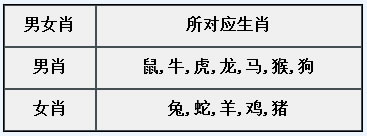 章节5.4 常见固定属性合集-19.jpg